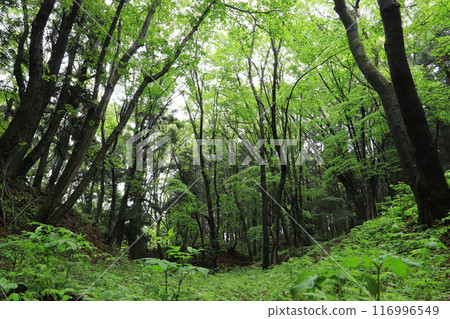 長坂城遺址 116996549