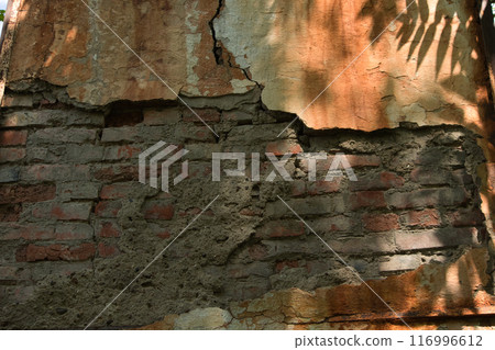 wall of an old large chimney, close-up wall with rusty smudges and a green bush nearby 116996612