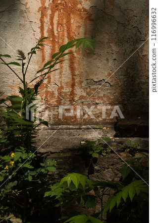 wall of an old large chimney, close-up wall with rusty smudges and a green bush nearby 116996632