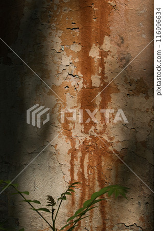 wall of an old large chimney, close-up wall with rusty smudges and a green bush nearby wall of an old large chimney, close-up wall with rusty smudges and a green bush nearby 116996634