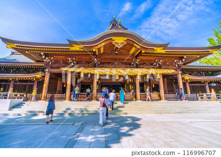 Samukawa cityscape in Japan, overlooking the main hall of Samukawa Shrine, Ichinomiya of Sagami Province, July 21, 2024 Samukawa cityscape in Japan, overlooking the main hall of Samukawa Shrine, Ichinomiya of Sagami Province, July 21, 2024 116996707