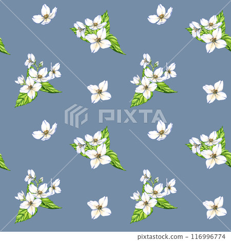 Watercolor seamless pattern of flowers and branches Jasmine isolated on a blue background. Floral illustration for design greeting cards, wedding invitations, natural cosmetics, packaging and tea 116996774