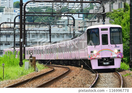 京王 9000 系列 30 系列 9731F 三麗鷗纏繞列車 京王 9000 系列 30 系列 9731F 三麗鷗纏繞列車 116996778