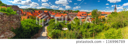 Wernigerode Overview, Harz, Germany 116996789