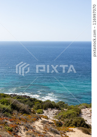 Rocky Shoreline with Crystal Clear Water 116997070