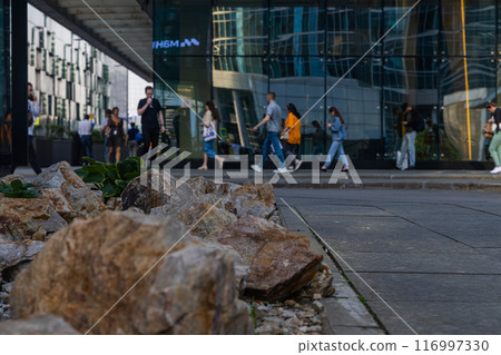 A Day in the Life of Moscows Urban Oasis 116997330