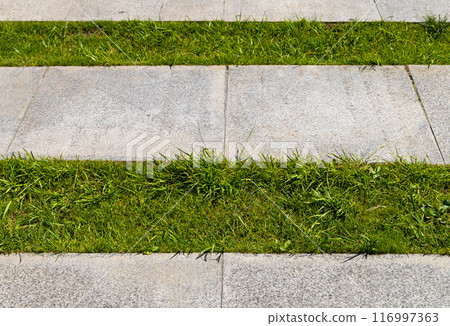 A Lush Break in Moscows Concrete 116997363