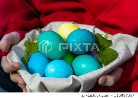 Discovering Treasures 116997384