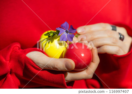 Colorful Easter Eggs Cradled in Hands With a Red Background 116997407