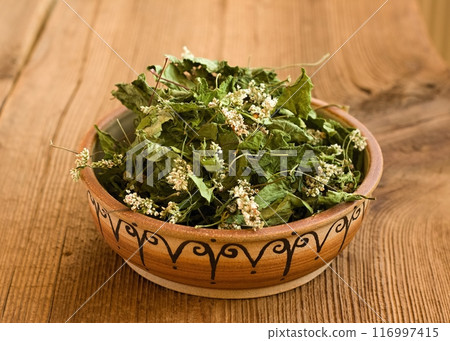 Dried plant of common buckwheat, Fagopyrum esculentum in a bowl on the wood table. 116997415