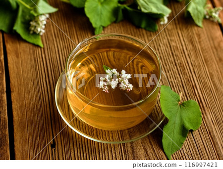 Herbal tea made from buckwheat, Fagopyrum esculentum, or common buckwheat. Herbal tea made from buckwheat, Fagopyrum esculentum, or common buckwheat. 116997421