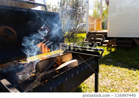 Backyard BBQ 116997440