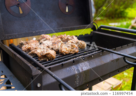 Grilled Meats on a Backyard BBQ 116997454