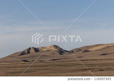 Majestic Desert Fortress 116997485