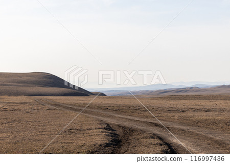 The Solitary Journey 116997486