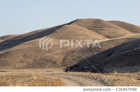 Lone Rider on a Rustic Trail Through the Georgian Hills at Dusk 116997490