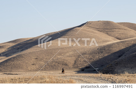 A Majestic Ride Through the Georgia Mountains A Majestic Ride Through the Georgia Mountains 116997491