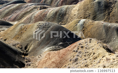 Majestic Stone Sentinels 116997513