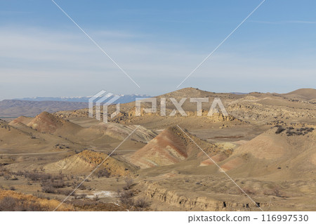 Majestic Desert Vista 116997530