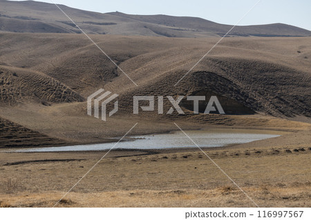 Oasis of Solitude Oasis of Solitude 116997567