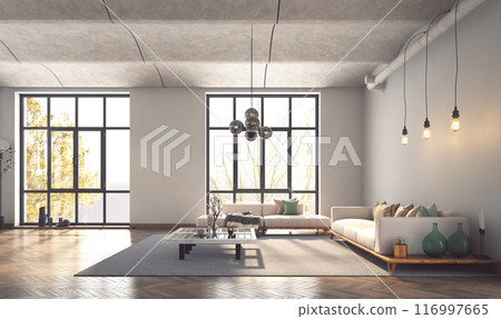 a modern living room 116997665