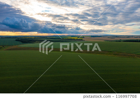 Serene Whispers Serene Whispers 116997708