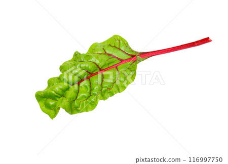 Beetroot leaves, fresh beet leaf isolated 116997750
