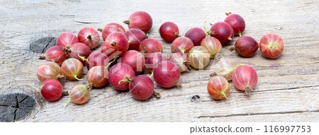 Red gooseberry berry 116997753