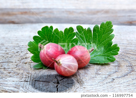 Red gooseberry berry 116997754
