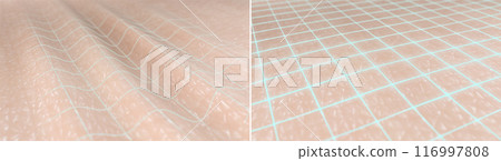 Skin surface before and after wrinkle reduction. 3D render illustrated depicting the effects of anti-aging collagen-boosting cosmetic products, anti-wrinkle treatments, hyaluronic acid injection 116997808