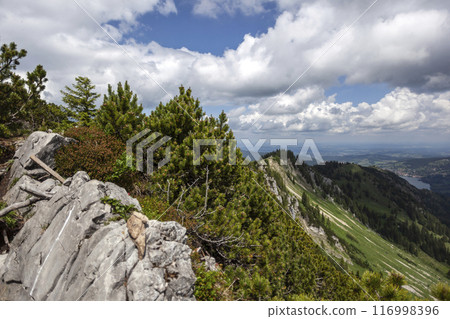 Mountain hiking at Brecherspitze mountain, Bavaria, Germany in summertime 116998396