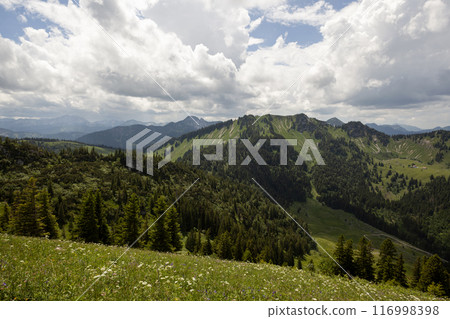 Mountain hiking at Brecherspitze mountain, Bavaria, Germany in summertime 116998398