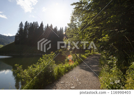 Lake Spitzingsee, Brecherspitze mountain, Bavaria, Germany in summertime 116998403
