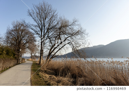 Panorama of lake Tegernsee, Bavaria, Germany 116998469