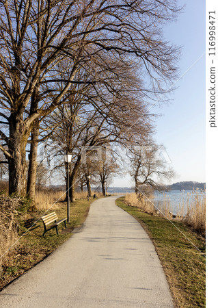 Panorama of lake Tegernsee, Bavaria, Germany 116998471