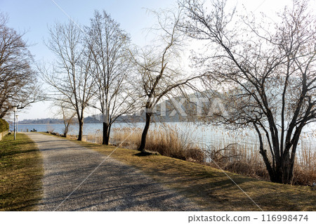 Panorama of lake Tegernsee, Bavaria, Germany 116998474