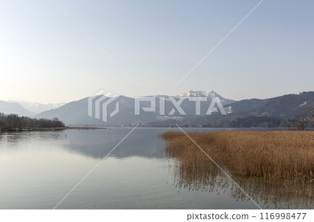 Panorama of lake Tegernsee, Bavaria, Germany 116998477