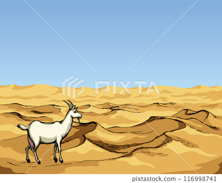 Goat in the desert. Vector drawing Goat in the desert. Vector drawing 116998741