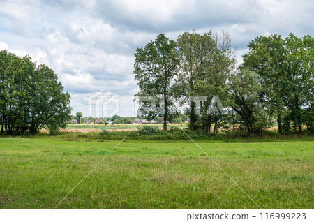 Green agriculture fields and meadows at the Groote Heide nature reserve at the Dutch Belgian border around Neerpelt, Flanders, Belgium Green agriculture fields and meadows at the Groote Heide nature reserve at the Dutch Belgian border around Neerpelt, Flanders, Belgium 116999223