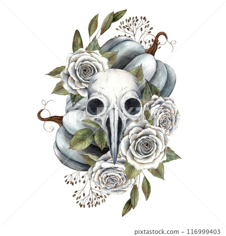 Black pumpkin, realistic human skull, white roses, green leaves and dry flowers. Watercolor illustration in gothic style. Suitable for Halloween holiday and autumn design, cards, posters, packaging 116999403