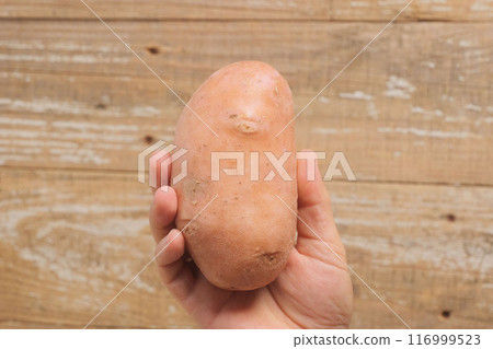 A Hand Grasping a Freshly Harvested Sweet Potato Root, Ready for Cooking and Enjoyment 116999523