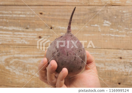 A Beautiful Vibrant Beetroot Being Held in Hand Against a Detailed Rustic Background A Beautiful Vibrant Beetroot Being Held in Hand Against a Detailed Rustic Background 116999524