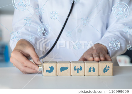 A concept training set of cubes representing the major human organs. 116999609