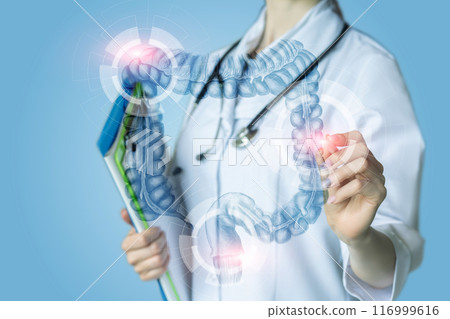 Virtual Anatomy of the Large Intestine. Virtual Anatomy of the Large Intestine. 116999616