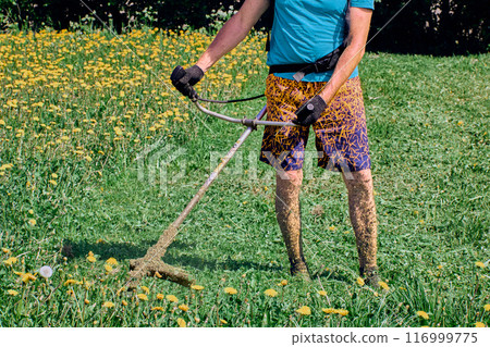 Petrol powered string weed wacker is operate on lawn of yellow dandelions. Petrol powered string weed wacker is operate on lawn of yellow dandelions. 116999775