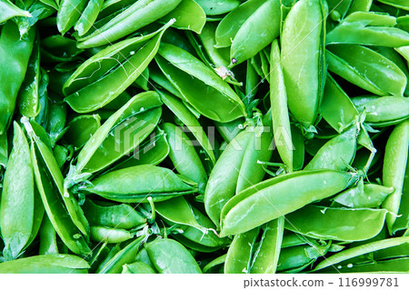 Green plant texture for background or backdrop, no peas inside seed pod, empty pea pods. 116999781