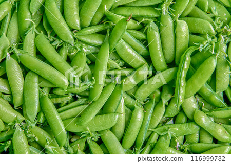 Collected sweet green pea pods, plant texture for background. Collected sweet green pea pods, plant texture for background. 116999782