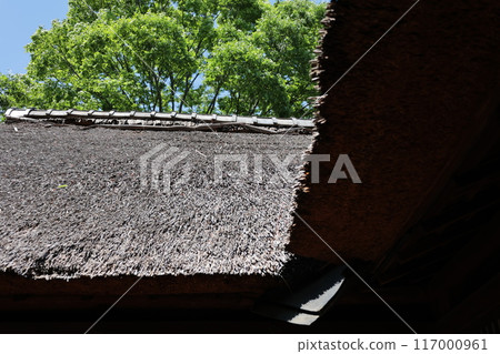 A roof of a thief 117000961
