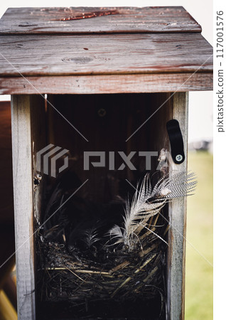 Open bird house with an empty nest of feathers and straw after eggs have hatched and young have left.  Open bird house with an empty nest of feathers and straw after eggs have hatched and young have left.  117001576