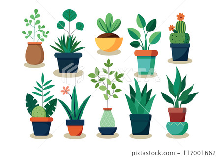 Potted plants set. Interior houseplants in pots.  117001662
